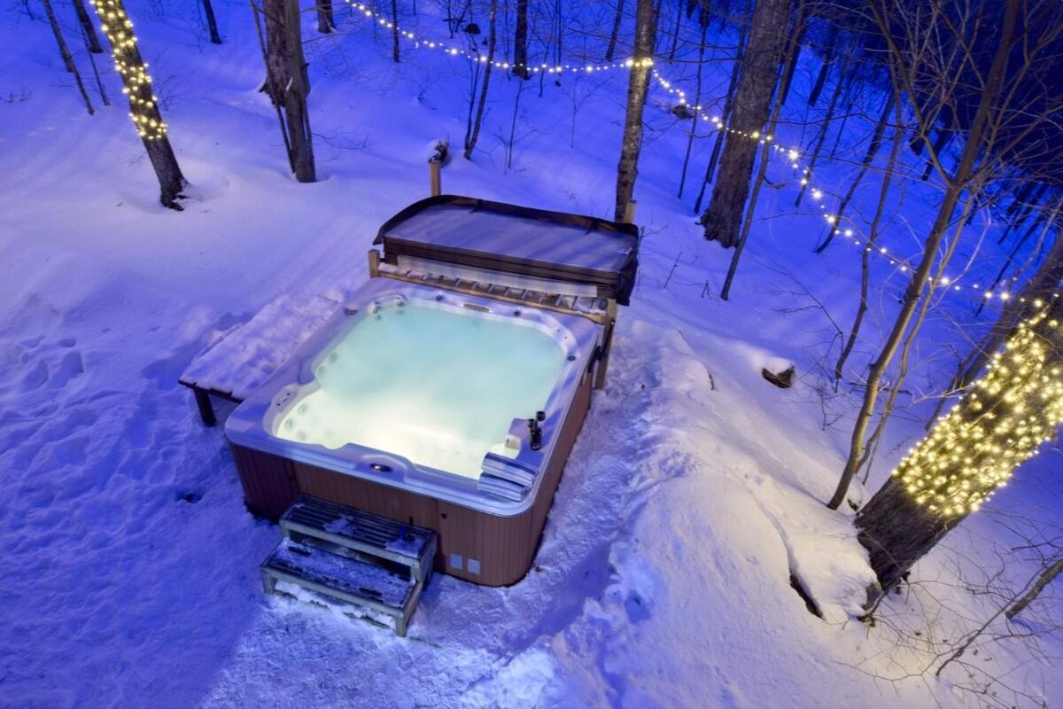 Chalet Log With Hot Tub And View